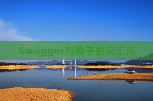Swagger与惠子的交汇点